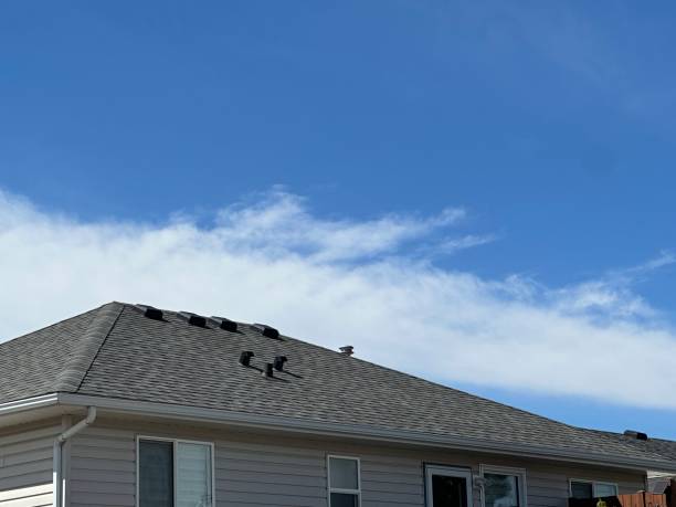 Roof Moss and Algae Removal in South Blooming Grove, NY